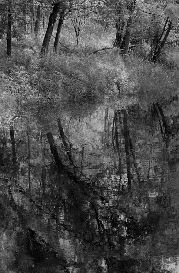 Collins Creek Reflections #1 Photograph by Jim Vance