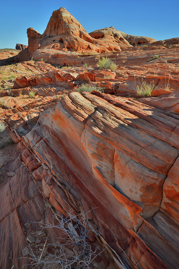 Color Galore in Valley of Fire #1 Photograph by Ray Mathis