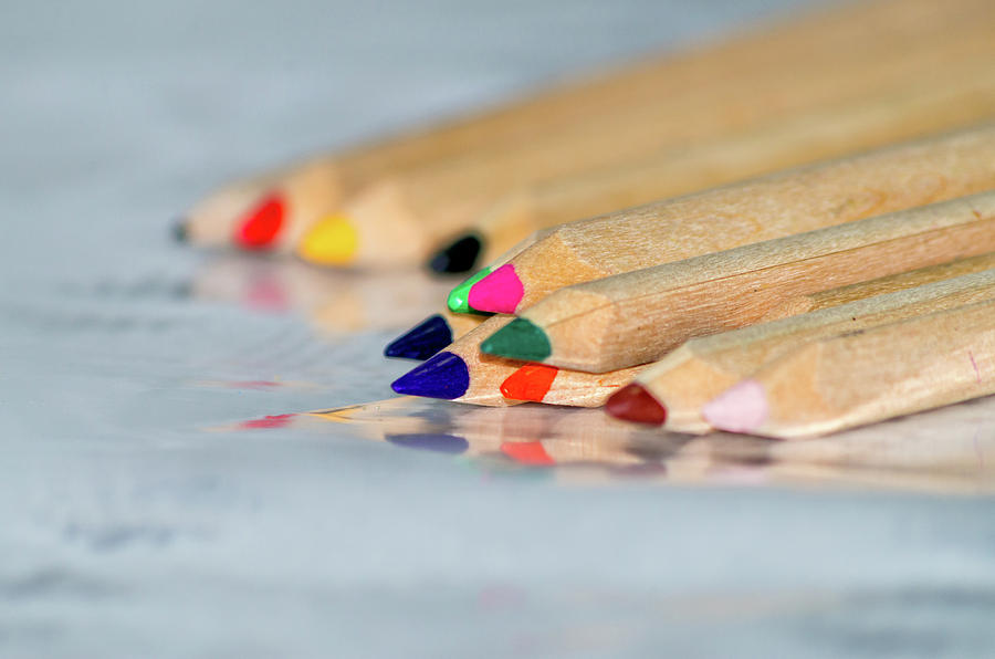 Color pencil #1 Photograph by Paulo Goncalves