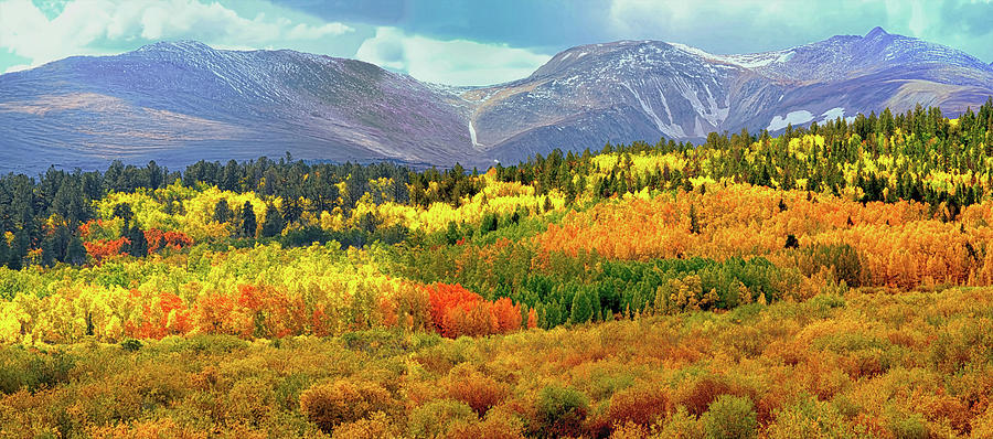 Colorado Landscape #1 Photograph by Lena Owens - OLena Art Vibrant Palette Knife and Graphic Design