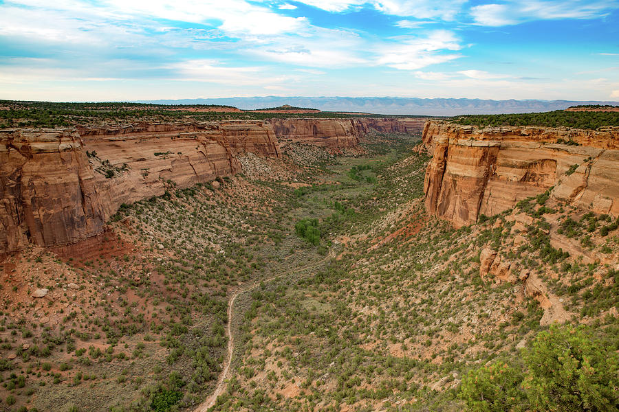 Colorado National Monument #1 Photograph by Kyle Lee