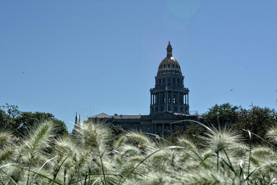 Colorado State Capitol lawn #1 Photograph by FineArtRoyal Joshua Mimbs
