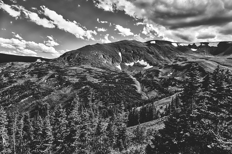 Colorado Timberline #1 Photograph by Mountain Dreams