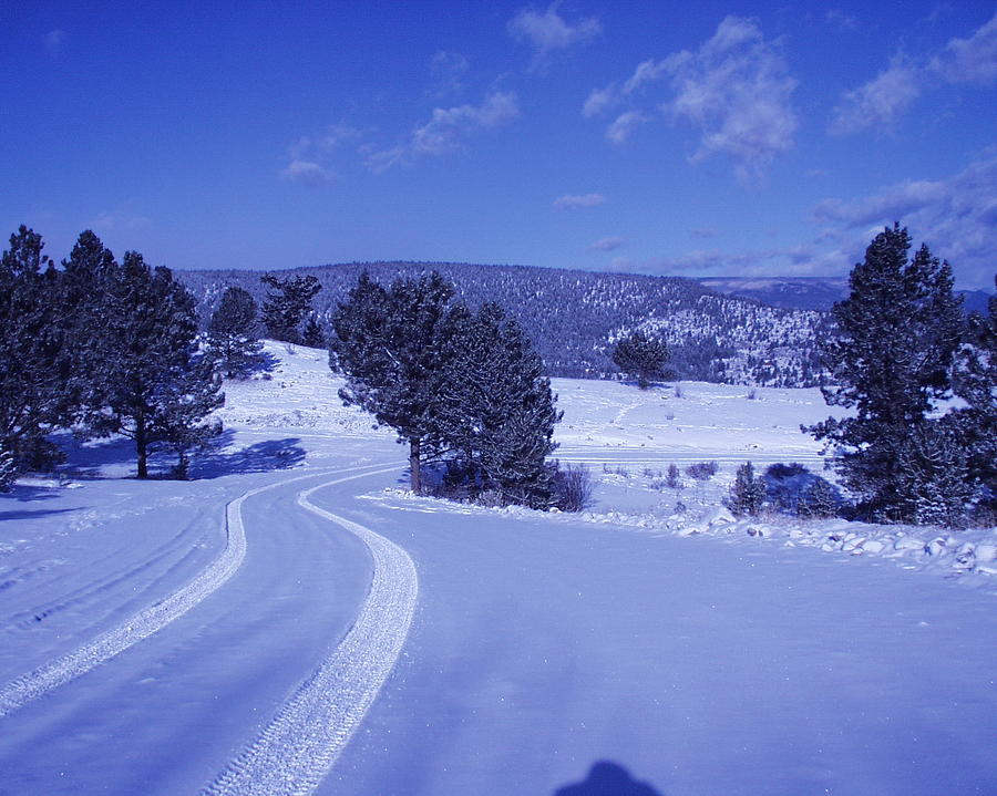 Colorado Winter  #1 Photograph by Bill Hyde