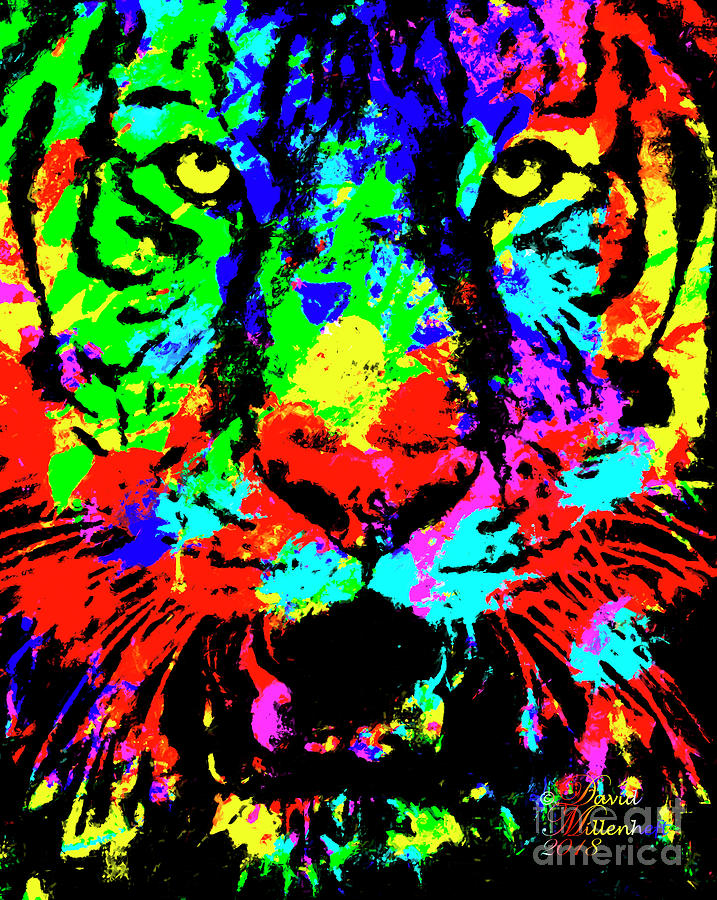 Colored Tiger #2 Mixed Media by David Millenheft