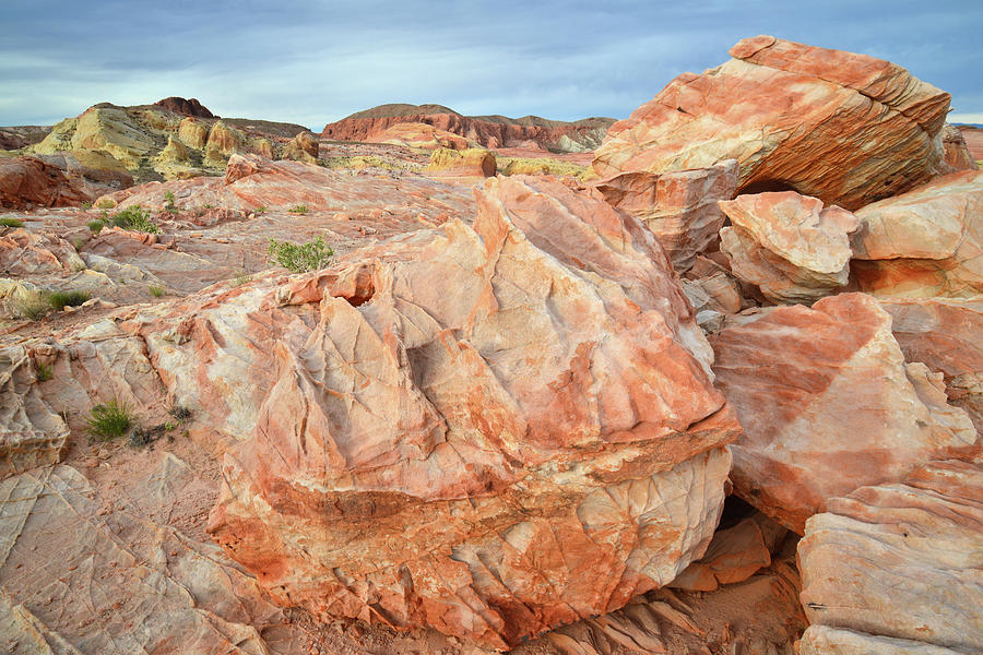 Colorful Boulder at Valley of Fire #1 Photograph by Ray Mathis