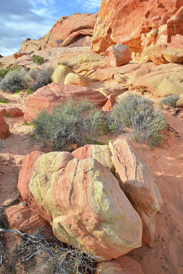 Colorful Boulders in Valley of Fire #2 Photograph by Ray Mathis