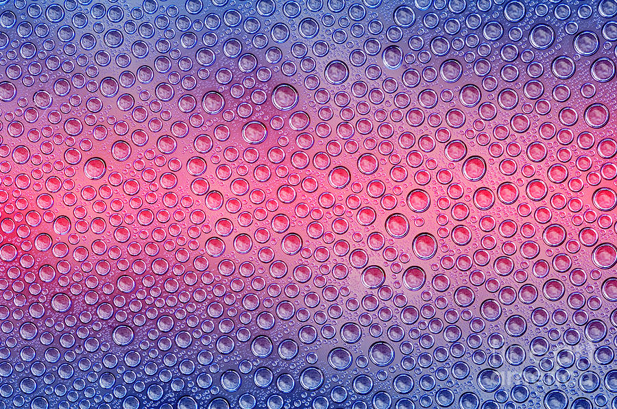 Colorful Bubbles #1 Photograph by Michal Boubin