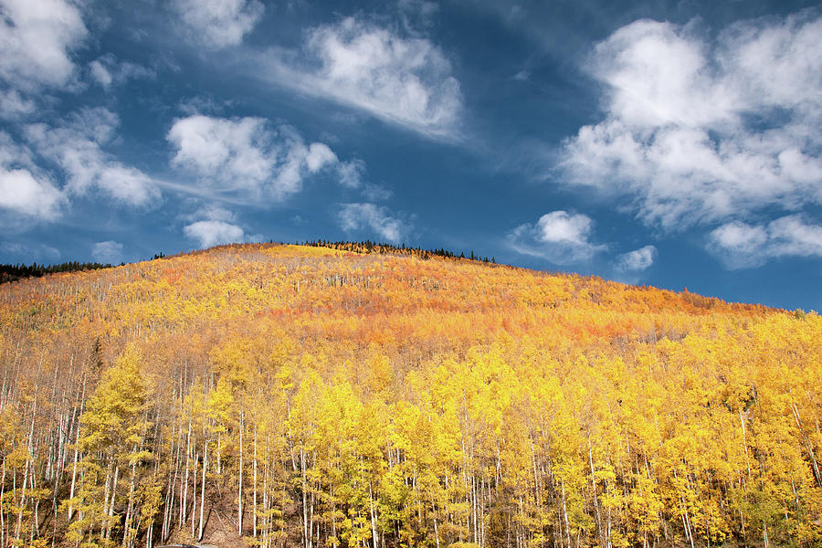Colorful Colorado #1 Photograph by Steve Stuller