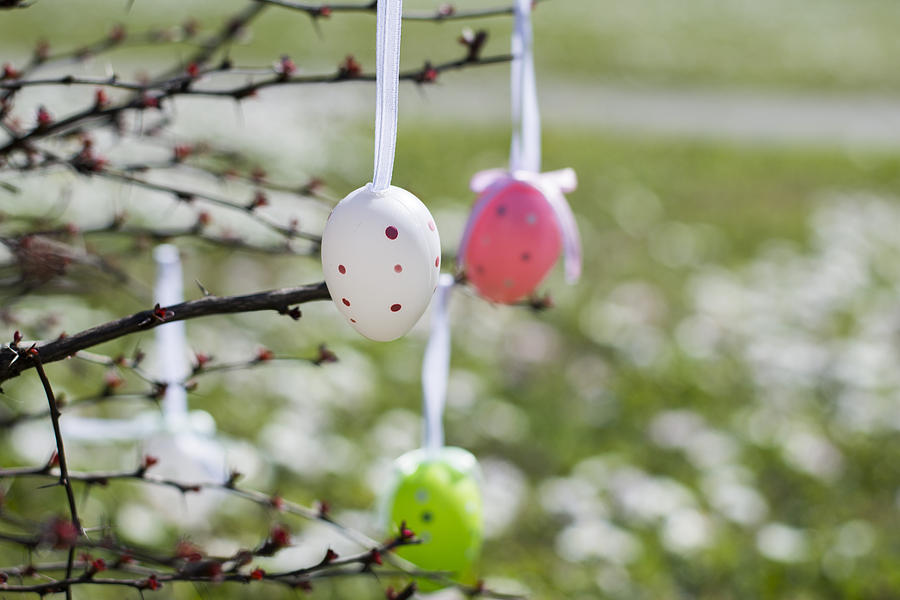 Easter Photograph - Colorful Easter eggs hanging on branches outdoors with white flo #1 by Newnow Photography By Vera Cepic