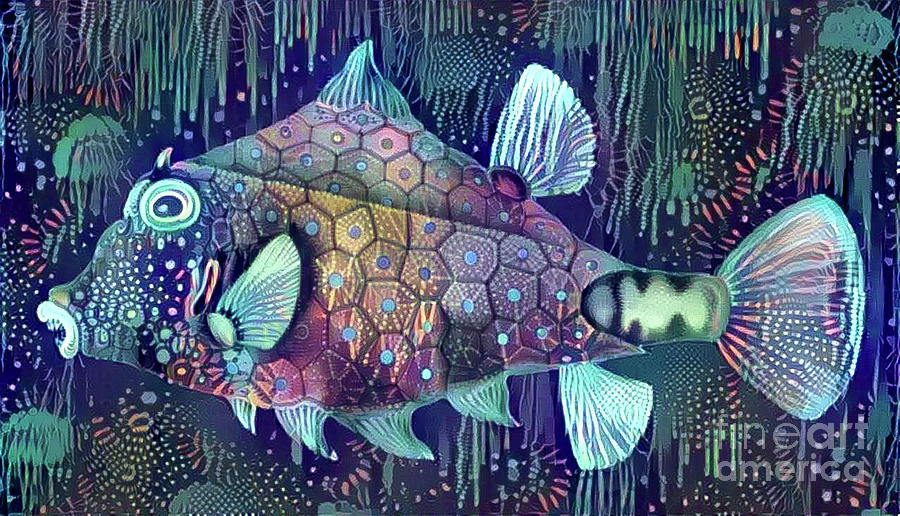 Colorful Fish #1 Digital Art by Amy Cicconi