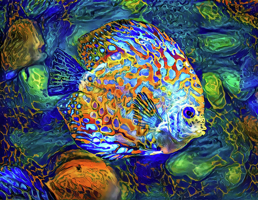 Colorful fish #1 Mixed Media by Lilia S