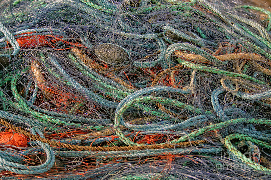 Fish Photograph - Colorful fishing nets by Patricia Hofmeester