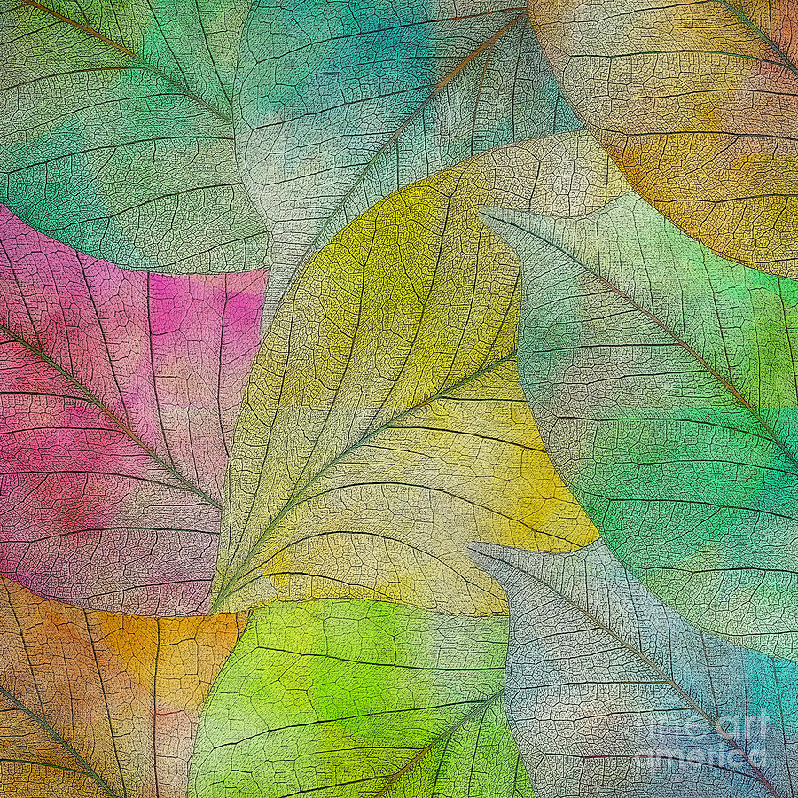 Colorful Leaves #1 Digital Art by Klara Acel