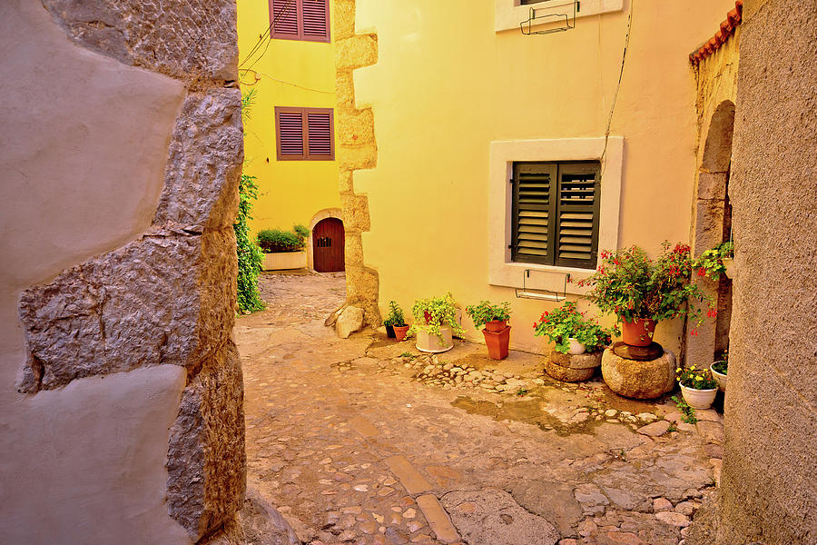 Colorful paved street of old adriatic town Vrbnik #1 Photograph by Brch Photography