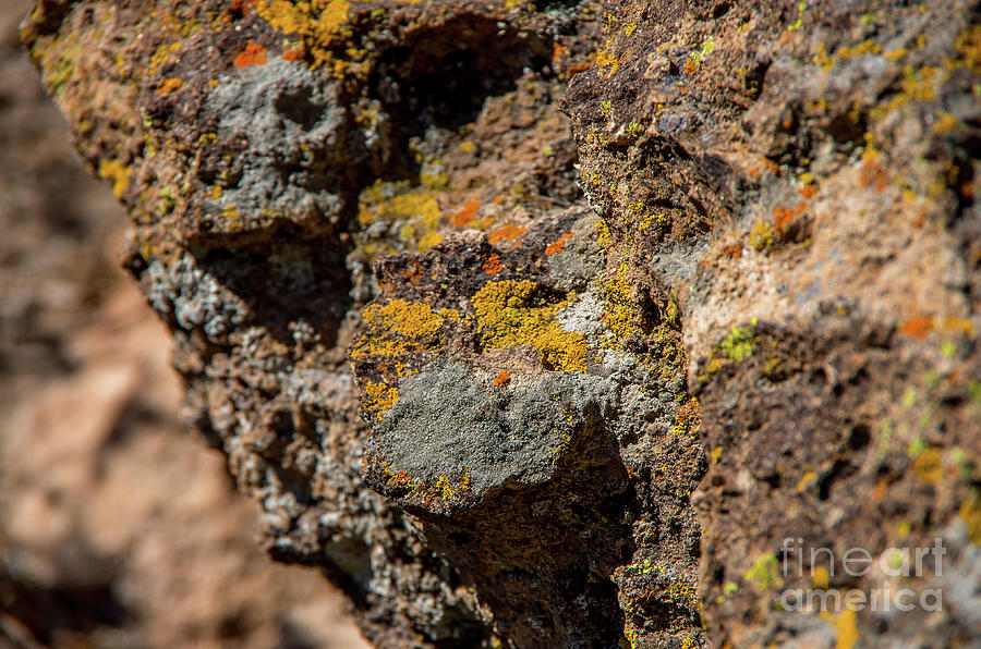 Rocks Photograph - Colorful Rocks #2 by Stephen Whalen