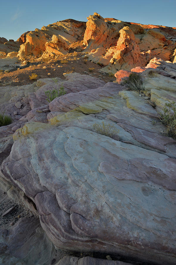 Colorful Sandstone at Sunset in Valley of Fire #1 Photograph by Ray Mathis