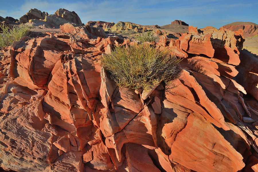 Colorful Sandstone Fins in Valley of Fire #1 Photograph by Ray Mathis