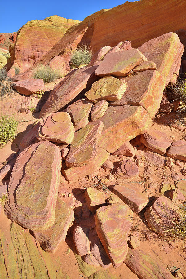 Colorful Sandstone Slab in Valley of Fire #1 Photograph by Ray Mathis