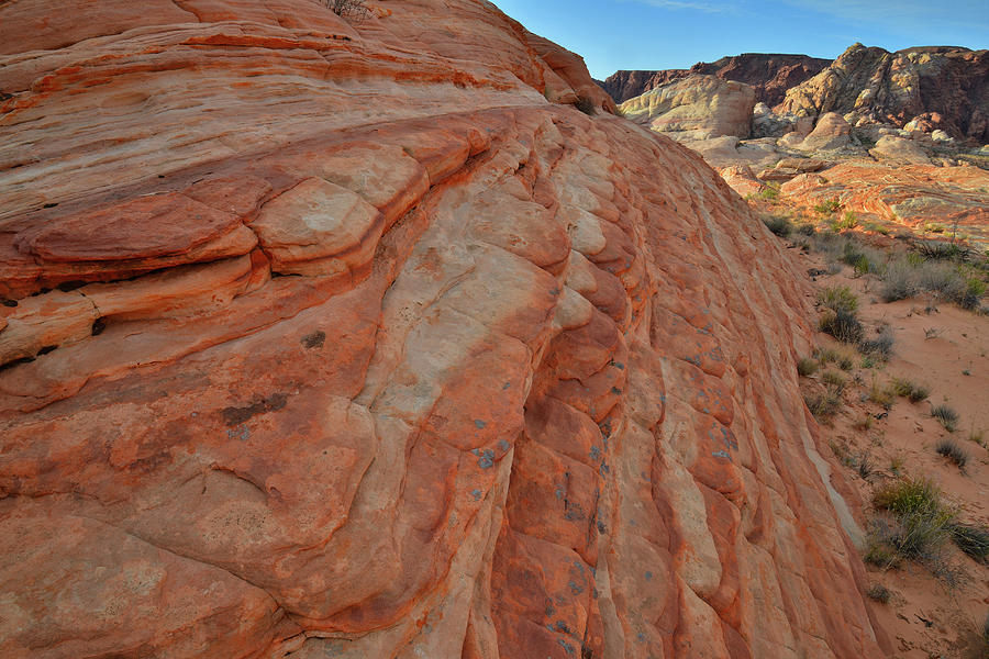 Colorful Sandstone Wave In Valley Of Fire Photograph
