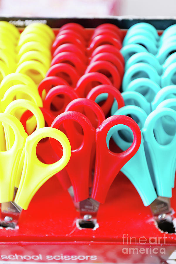 Colorful scissors #1 Photograph by Tom Gowanlock