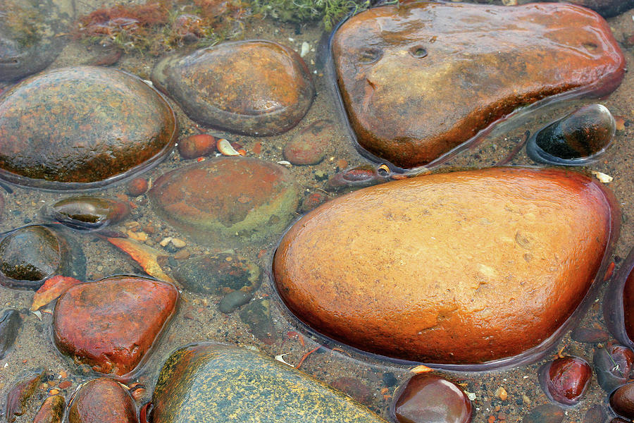 Colorful Shore Rocks 10 #2 Photograph by Mary Bedy