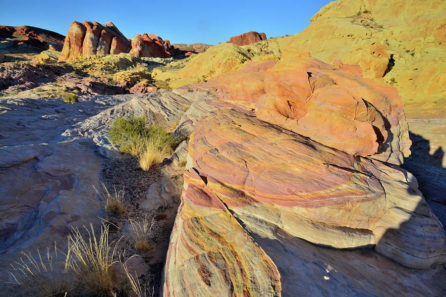 Colorful Wave in Valley of Fire #1 Photograph by Ray Mathis