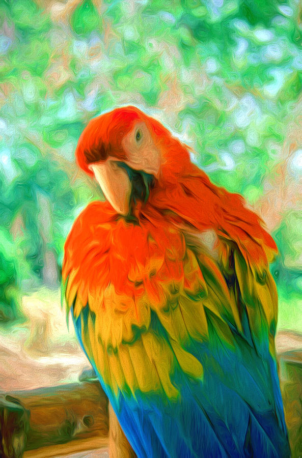 Colourful Macaw #1 Digital Art by Roy Pedersen