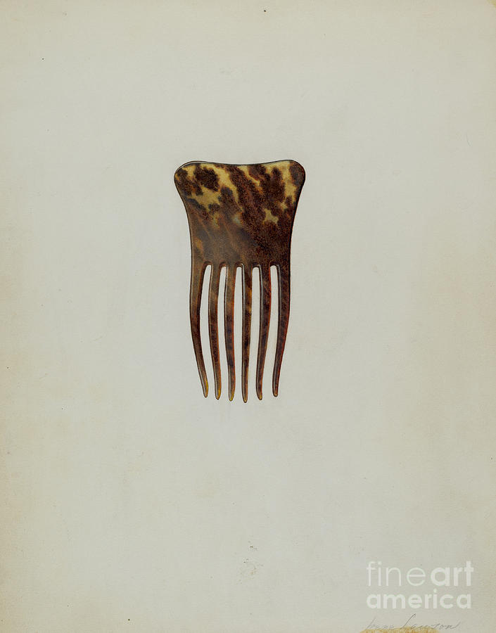 Comb #1 Drawing by Irene Lawson