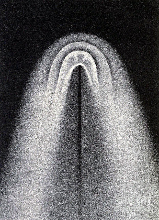 Comet Donati, 1858 #1 Photograph by Science Source