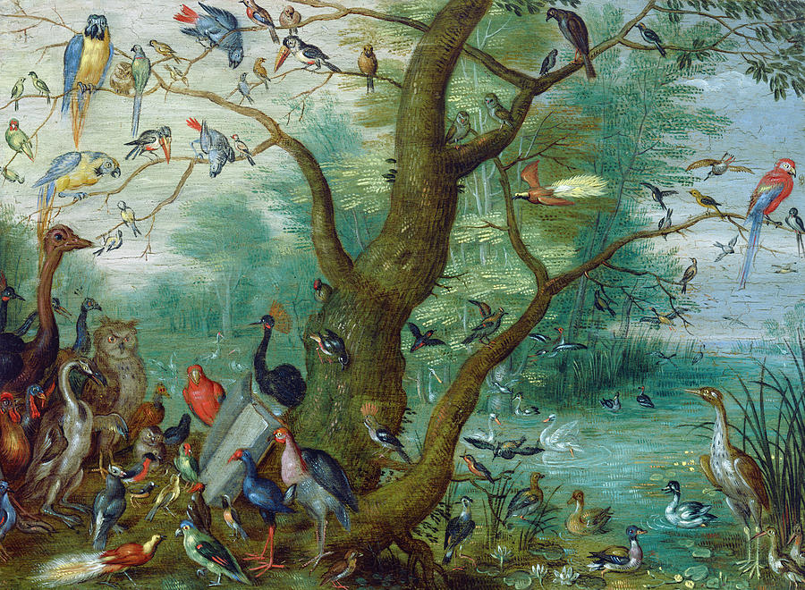  Concert of Birds #1 Painting by Circle of Jan van Kessel