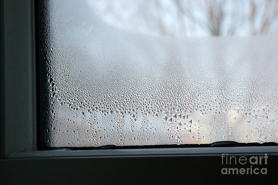 Condensation #1 Photograph by Scimat