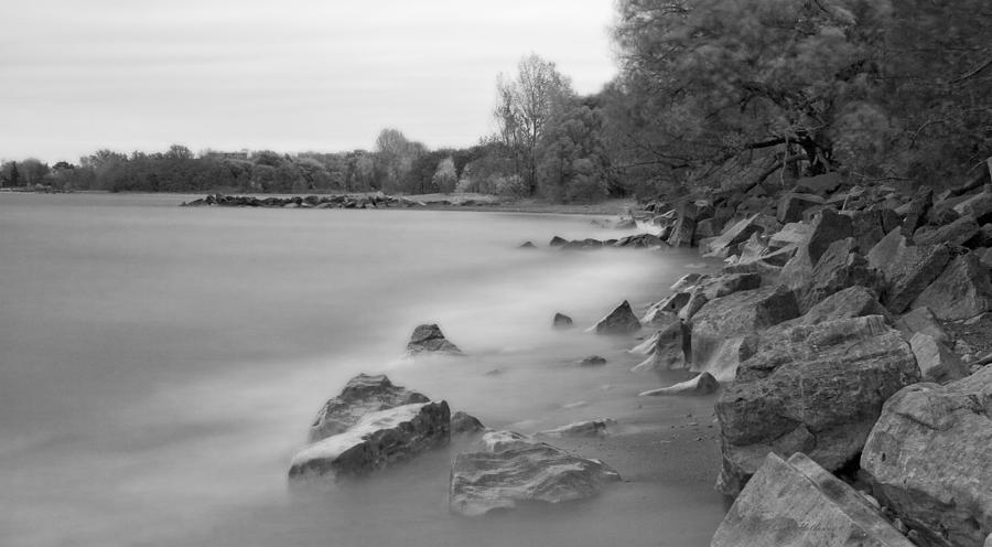 Black And White Photograph - Confederation Park #1 by Carol Hathaway