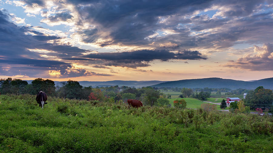 Connecticut Country #1 Photograph by Bill Wakeley