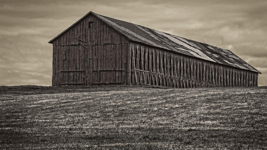 Connecticut Tobacco Barn #1 Photograph by Phil Cardamone