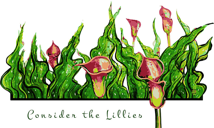 Consider the Lillies #1 Painting by Ian Anderson
