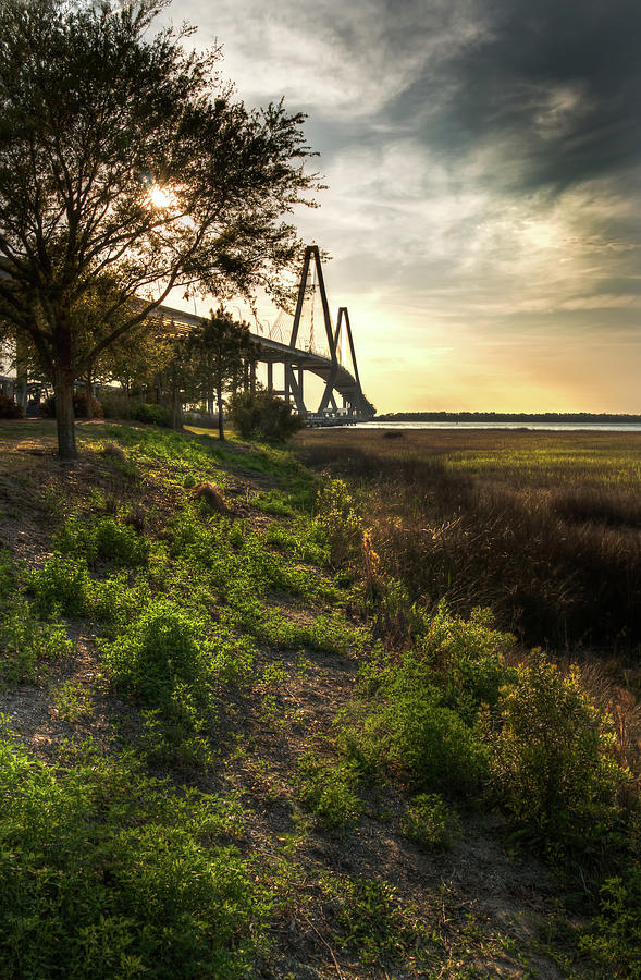 Cooper River Bridge by Douglas Tate Cooper River Bridge by Douglas Tate