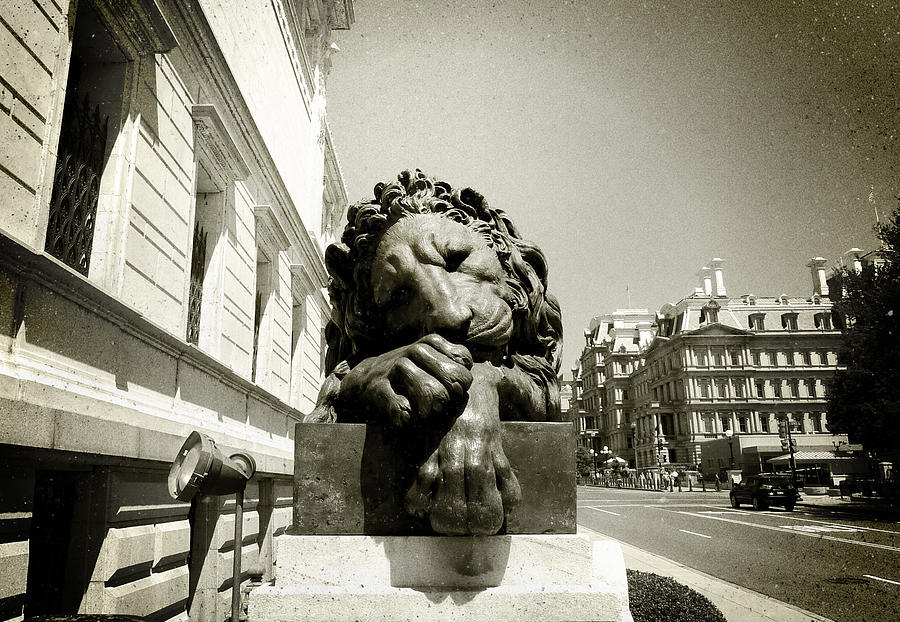Corcoran Lion #2 Photograph by Victoria Lakes