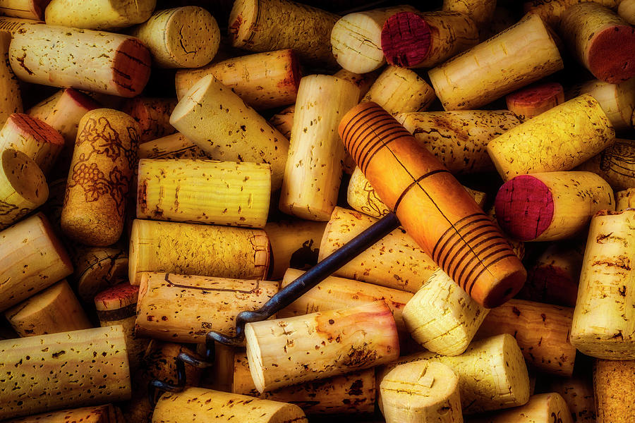 Corkscrew And Wine Corks #2 Photograph by Garry Gay