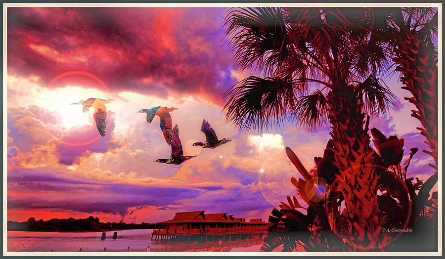 Cormorants, Tropical Sunset #1 Digital Art by A Macarthur Gurmankin