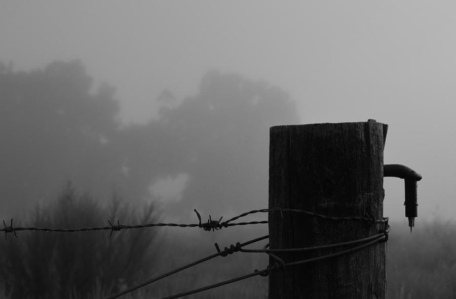 Corner Post and Fog #2 Photograph by Warren Thompson