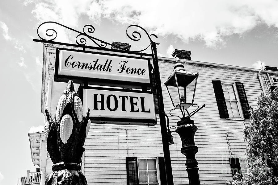 Cornstalk Fence Hotel BW Photograph by Scott Pellegrin
