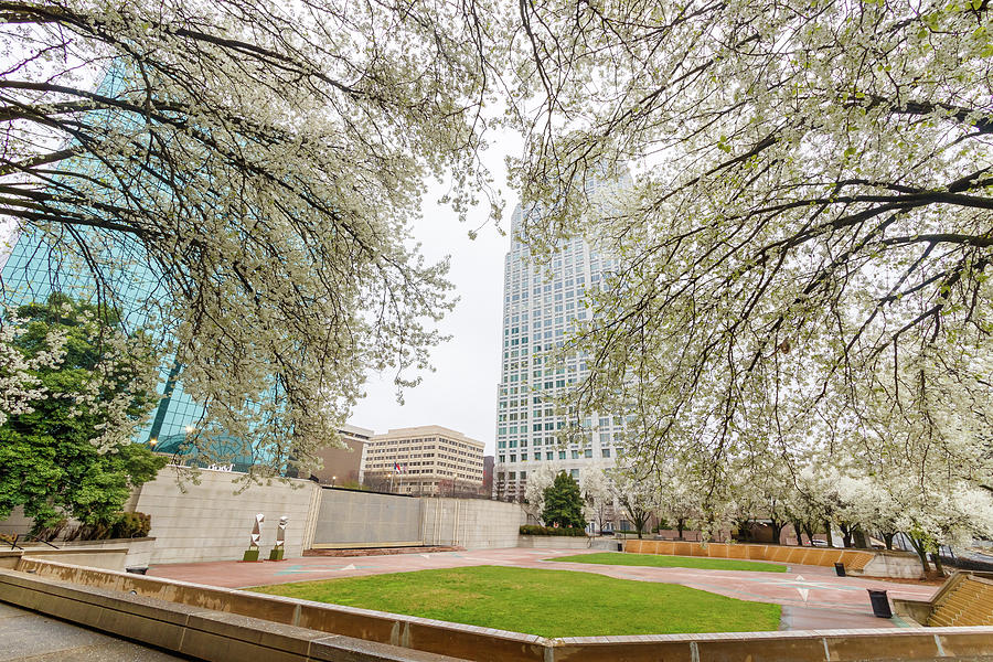 Corpening Plaza Photograph by Bryan Pollard Fine Art America
