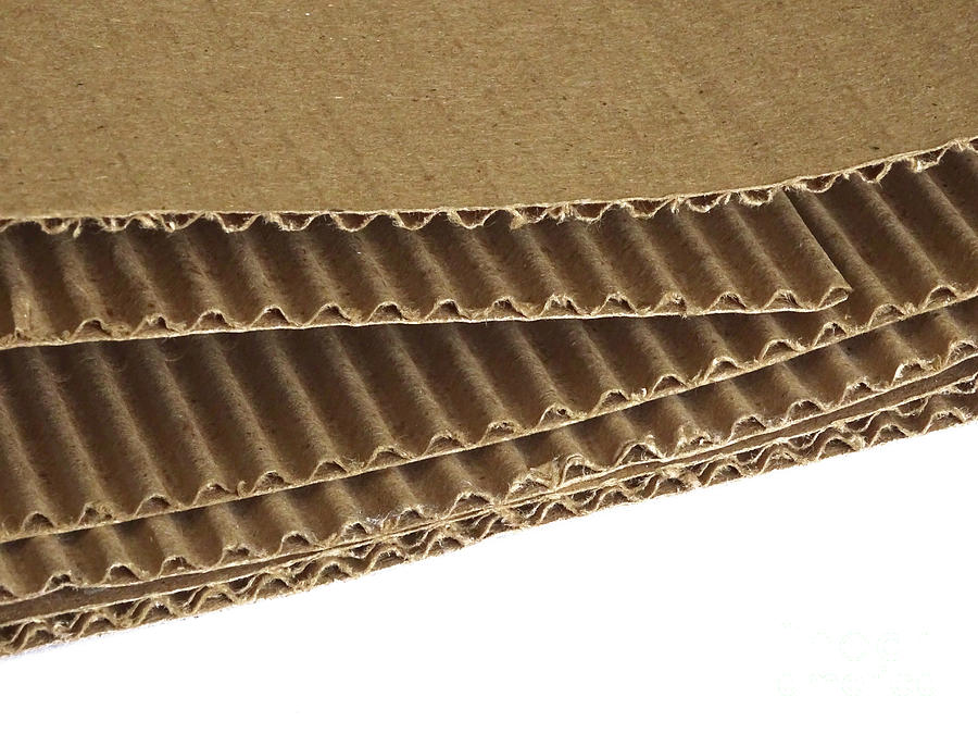 Corrugated Cardboard #1 Photograph by Scimat