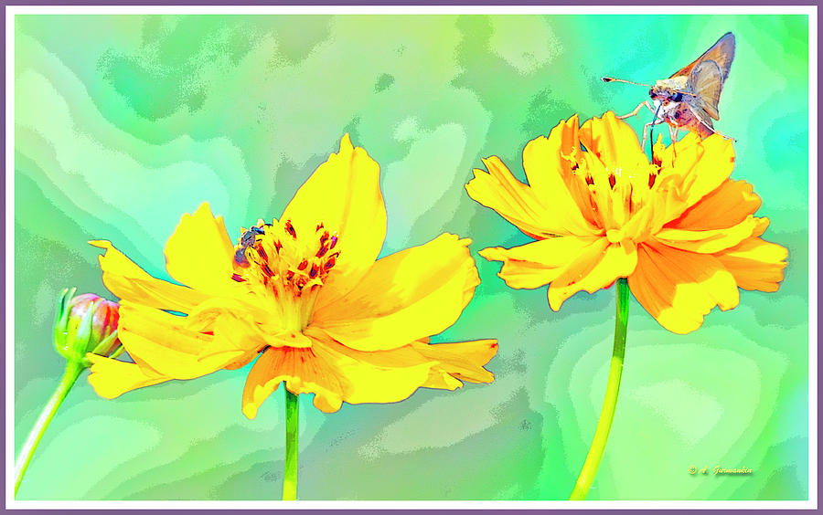 Cosmos Flowers, Bud, Butterfly, Digital Painting Digital