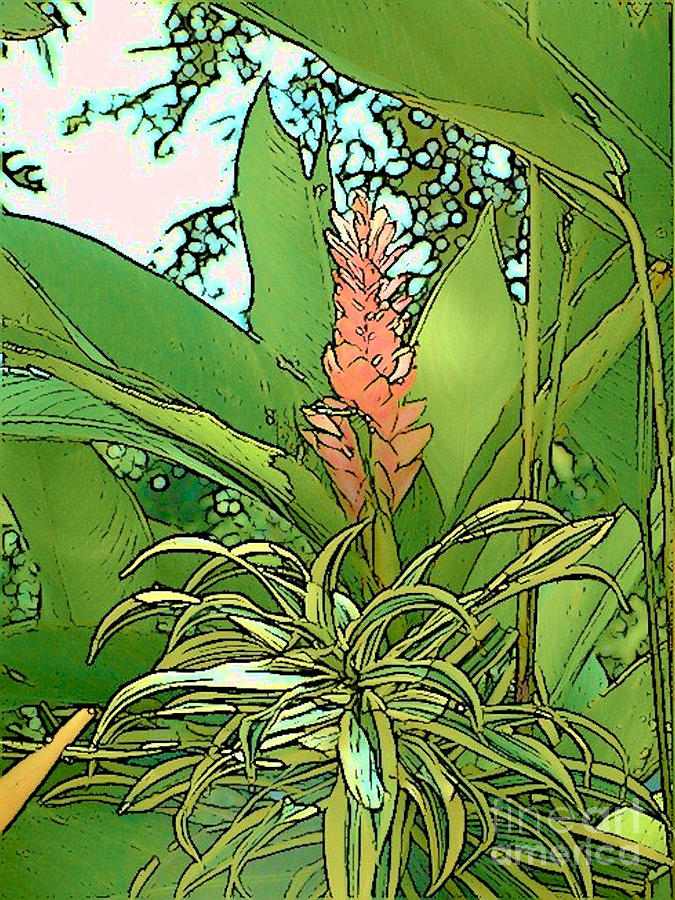 Costa Rica Jungle Bloom #1 Photograph by Lisa Dunn