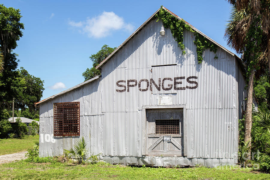 Costas Tsourakis Sponge Warehouse, Tarpon Springs, Florida #1 Photograph by Dawna Moore Photography