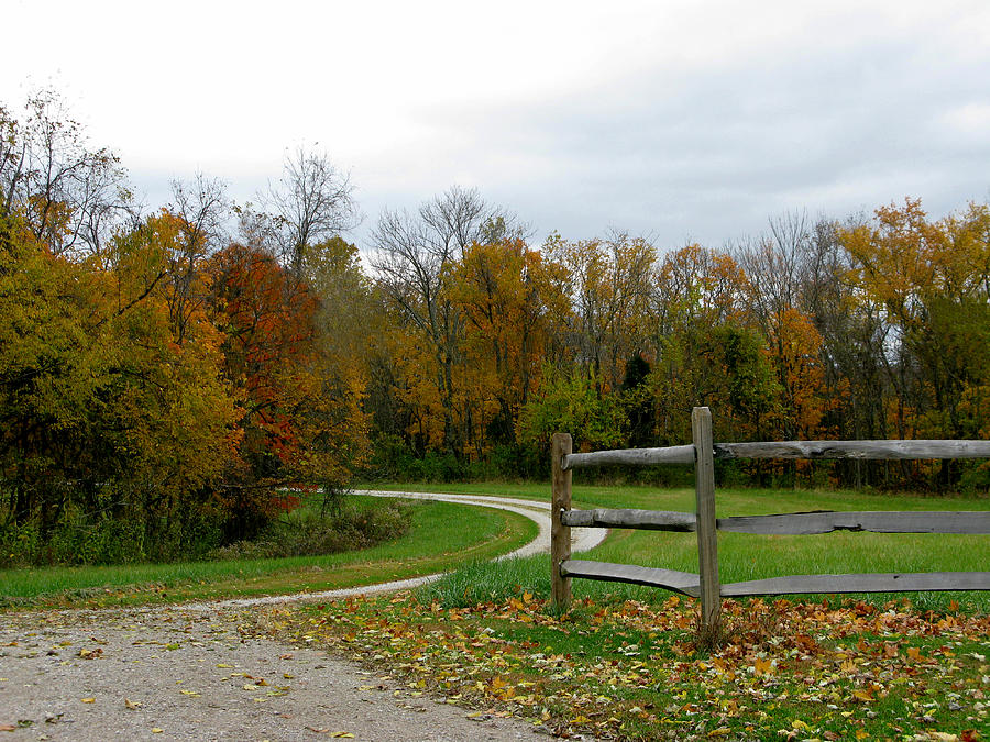 Fall Photograph - Country Drive #1 by Martie DAndrea