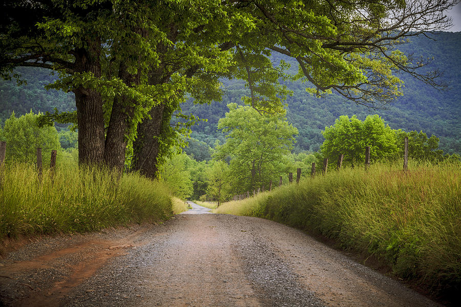 Nature Photograph - Country Lane in the Smokies #1 by Andrew Soundarajan