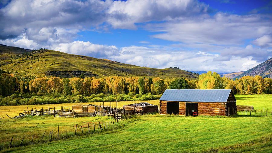 Country Life In Crested Butte #1 Photograph by John De Bord